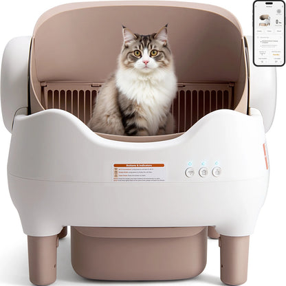 CleanPaw™ – The Future of Cat Care