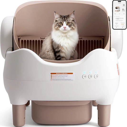 CleanPaw™ – The Future of Cat Care