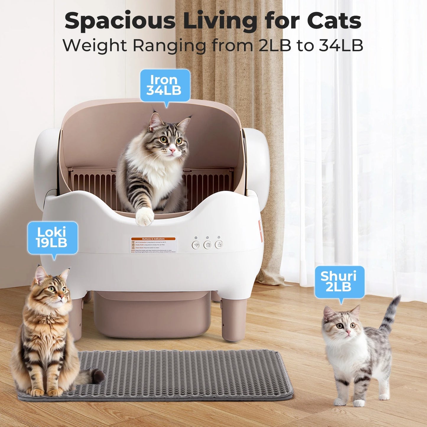 CleanPaw™ – The Future of Cat Care