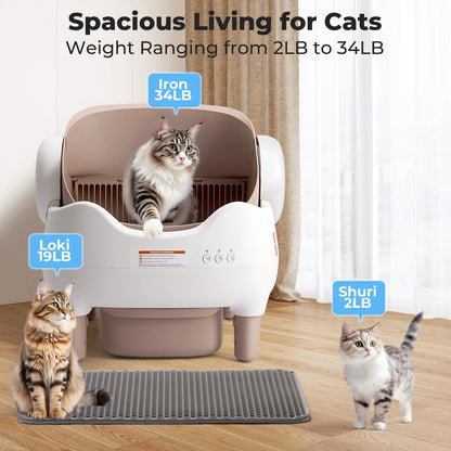 CleanPaw™ – The Future of Cat Care