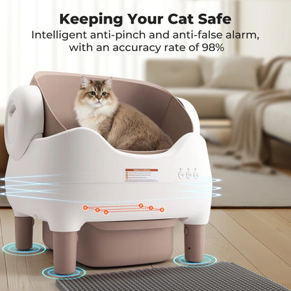 CleanPaw™ – The Future of Cat Care